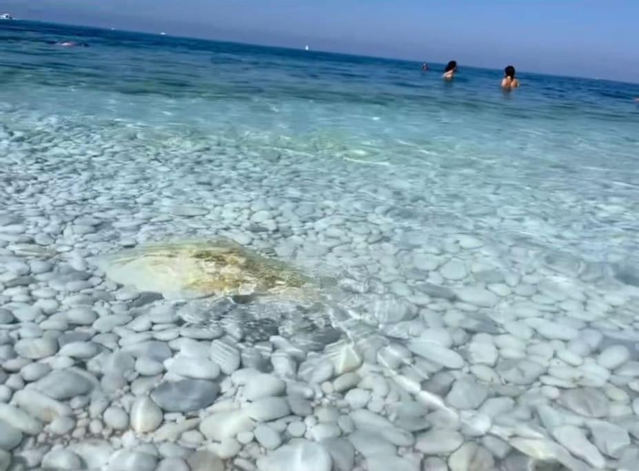 Casa Vacanze Marina Di Pisa Catola Εξωτερικό φωτογραφία